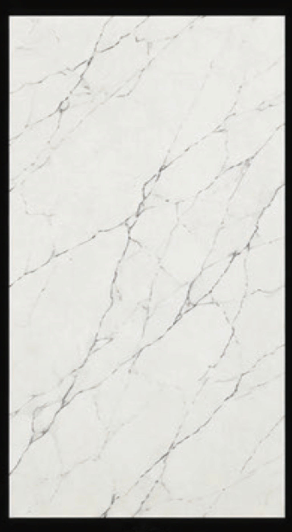 White Carrara SPC Wall Panel